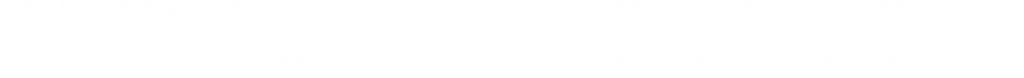 Digi Solutions logo